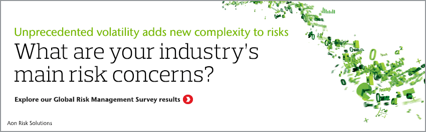 2017 Global Risk Management Survey