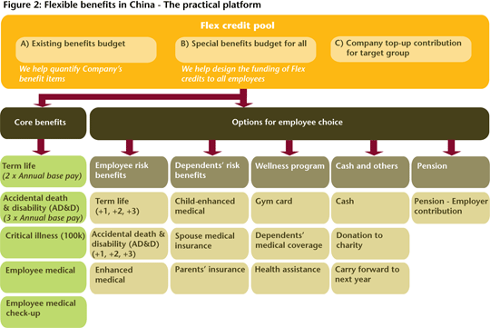 Figure 2: Flexible Benefits in China - The practical platform