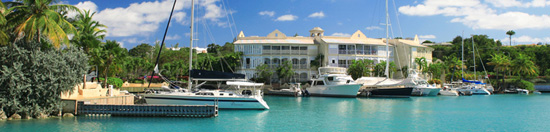 Aon in Barbados