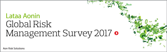 Lataa Global Risk Management Survey
