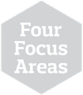 4 Focus Areas