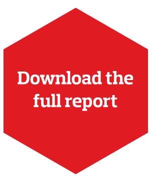 download EMEA 2017 Report