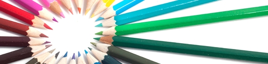 Minority Business Enterprise Solutions