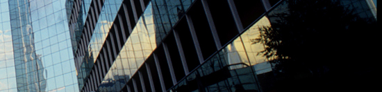Top Companies for Leaders Study 2011