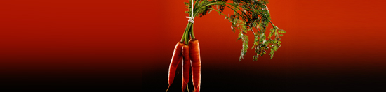 2012 Compensation Planning Forums