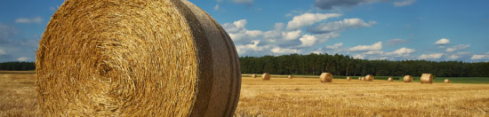Aon Benfield: Agriculture