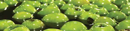 Food Safety Modernization Act