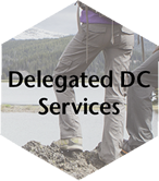 Delegated-DC-Services