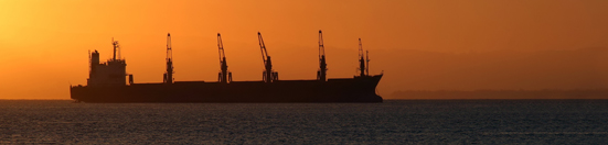 Marine Risk Management