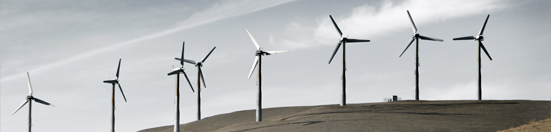 Natural Resources Risk Management