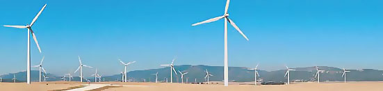 Environmental Risk Management