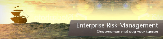 Enterprise Risk Management 