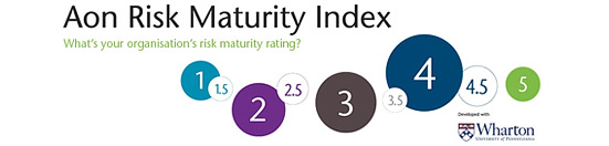 Risk Maturity Index