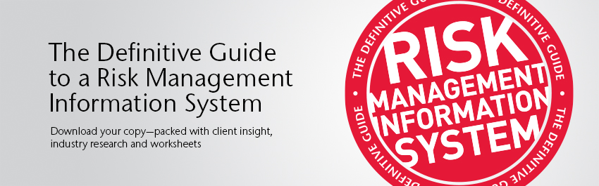 The Definitive Guide to a Risk Management Information System