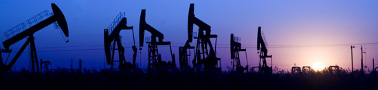 Oil & Gas Operators & Consultants Program