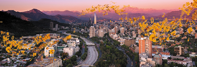 Publicaciones y Campañas