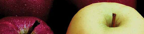 Gestion internalisée des risques Contrôle interne / Audit interne