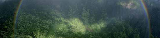 Gestion du risque CO2