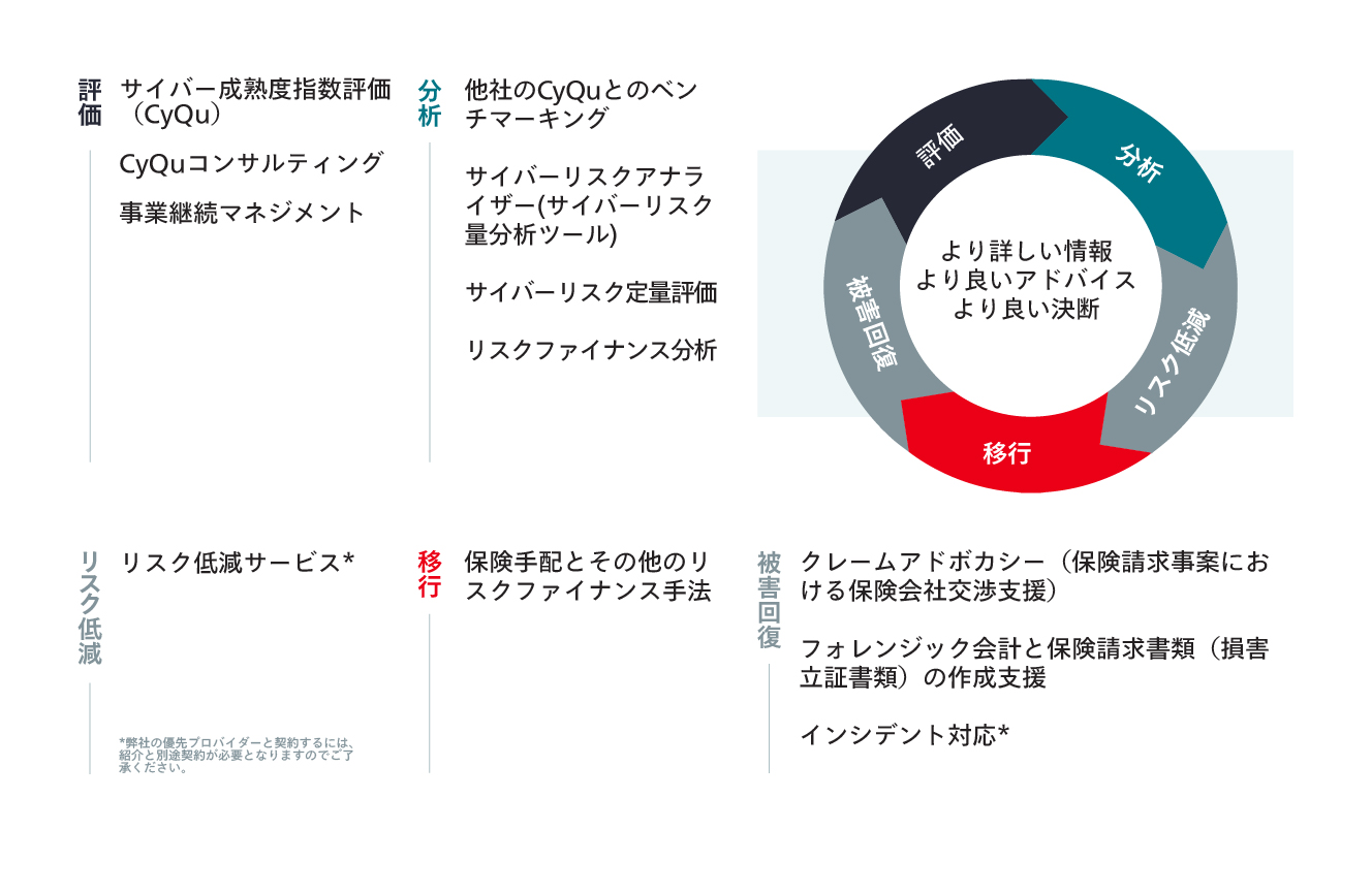 29395-Cyber-Risk-Management-JP-web-graphic.jpg