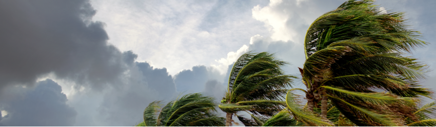 1200198866-850×248-(1).png