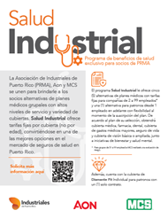 Salud Industrial PRMA