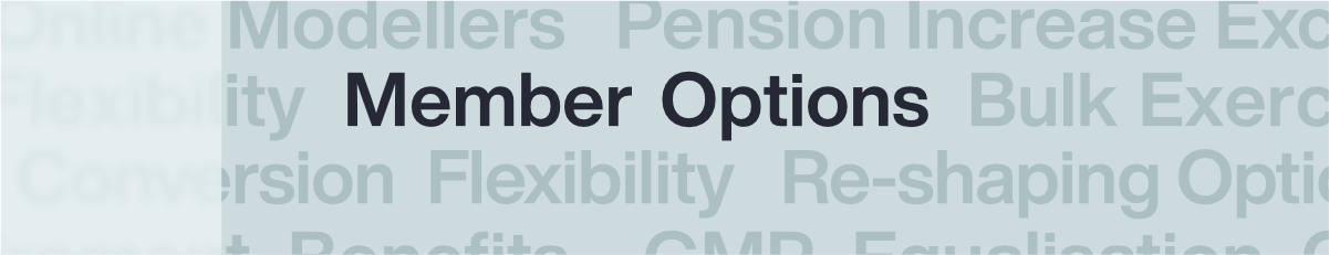 Member Options highlighted on a list of pension and retirement options topics