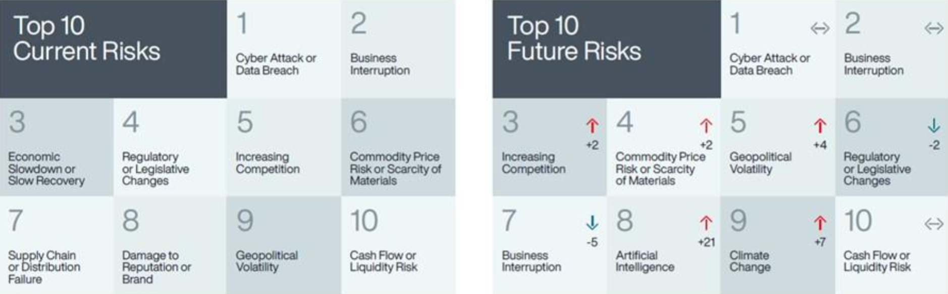 top 10 huidige en toekomstige risico's