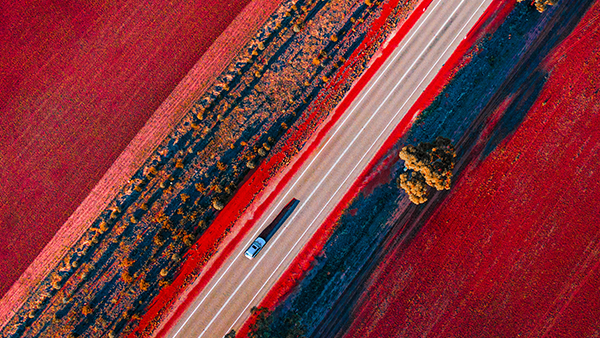 Read our article on Why Workforce Resilience Matters in M&A