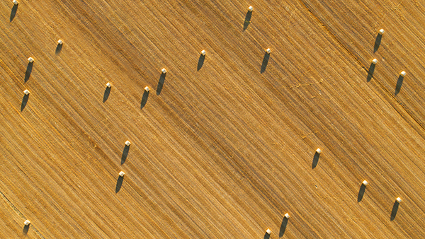 Read more about the pensions implications of M&A for finance
                  teams