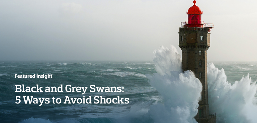 Black and Grey Swans: 5 Ways to Avoid Shocks