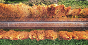 Safeguarding Rail Operations: Key Strategies for Risk Mitigation