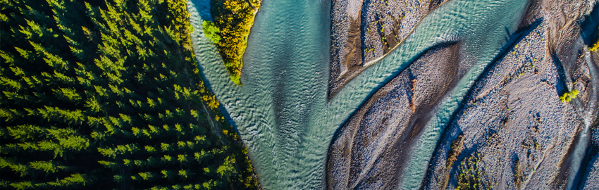 The Changing Claims Landscape for Consulting Services: At the Max or Going Higher?