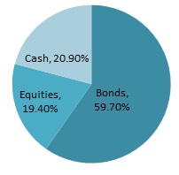 Breakdown of investment by type