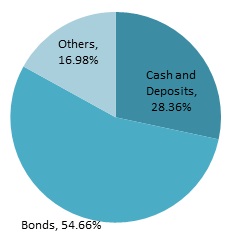 Breakdown of investment by type