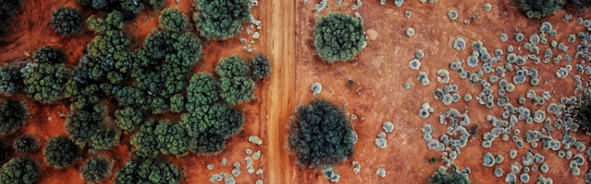 Climate Change and Financial Risk: The Impacts of Rapidly Evolving Regulation Across APAC