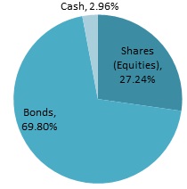 Breakdown of investment by type