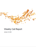 Weekly Cat Report