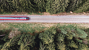 Female Candidate Talent Assessment