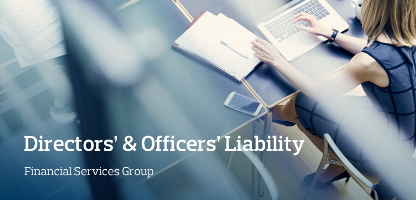 Directors’ & Officers’ Liability