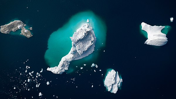 Read Aon’s recent Credit Solutions Insight Report for more