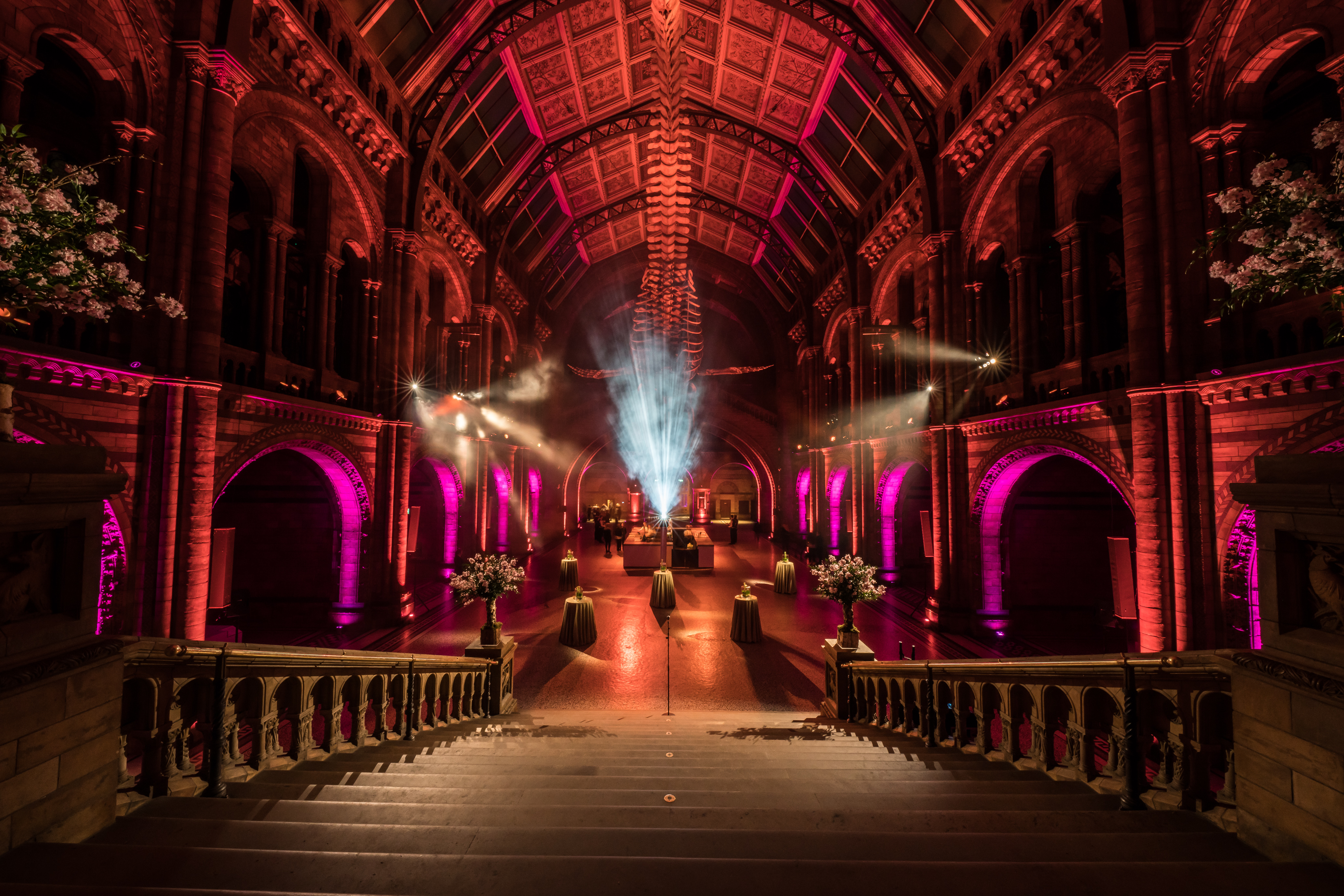 Aon Gala Dinner, Natural History Museum