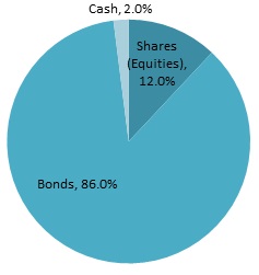 Breakdown of investment by type
