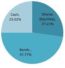 Breakdown of investment by type
