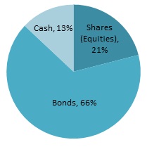Breakdown of investment by type
