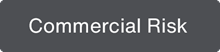 Commercial Risk Solutions