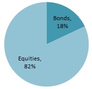 Breakdown of investment by type
