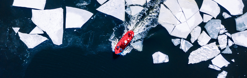 Polycrisis and Risk: Looking Beyond the Headlines