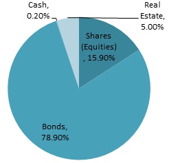 Breakdown of investment by type