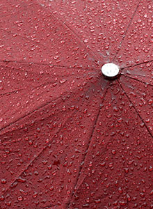 Products and Services