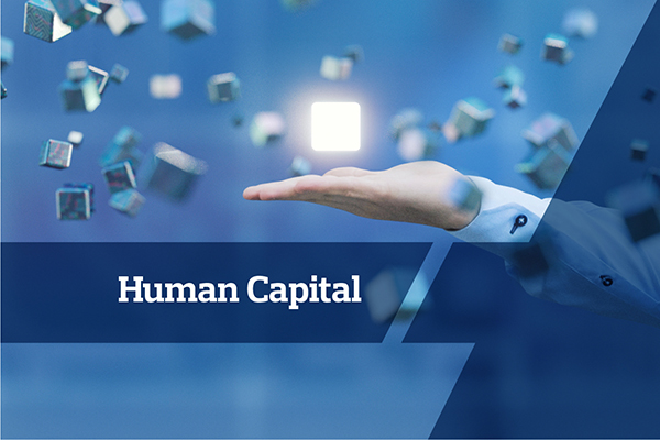 Human Capital Solutions
